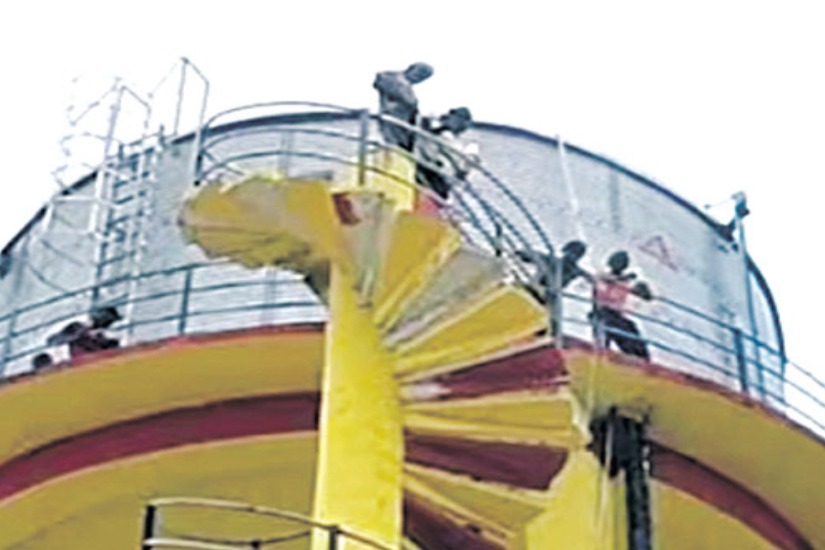 Fed with housefly problems up villagers protest atop water tank