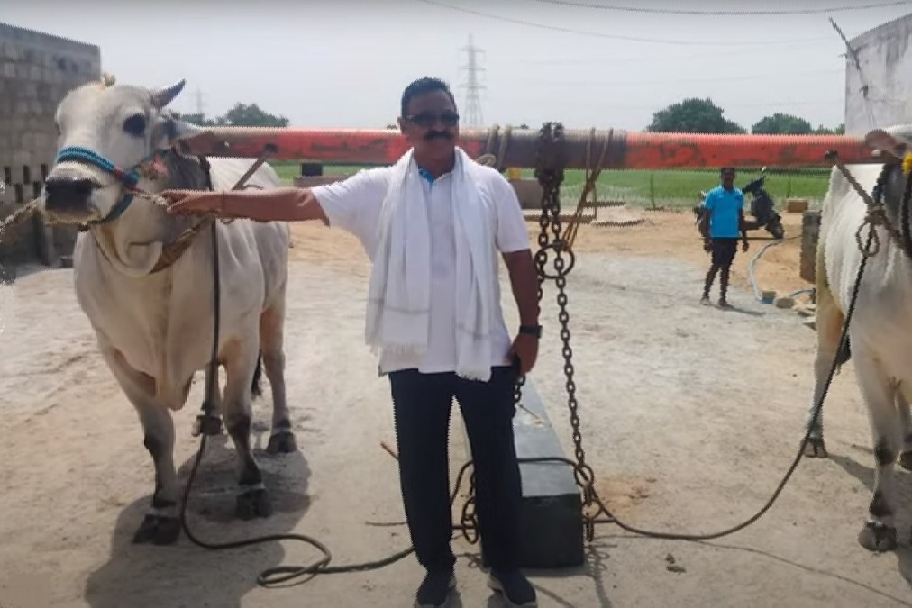 Betting bulls sold for one crore rupees video goes viral