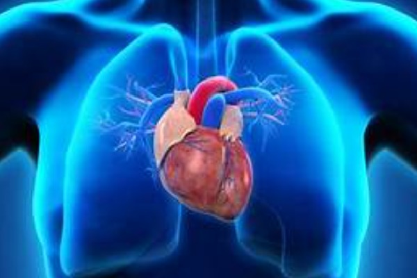 AP Government special focus on heart treatment