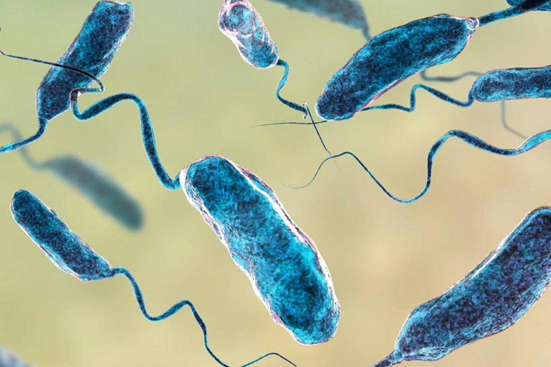 Three dead in Connecticut and New York post contacting rare flesh eating bacteria
