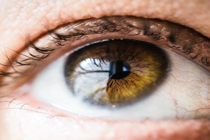 Stem cell therapy can help restore vision after eye injury
