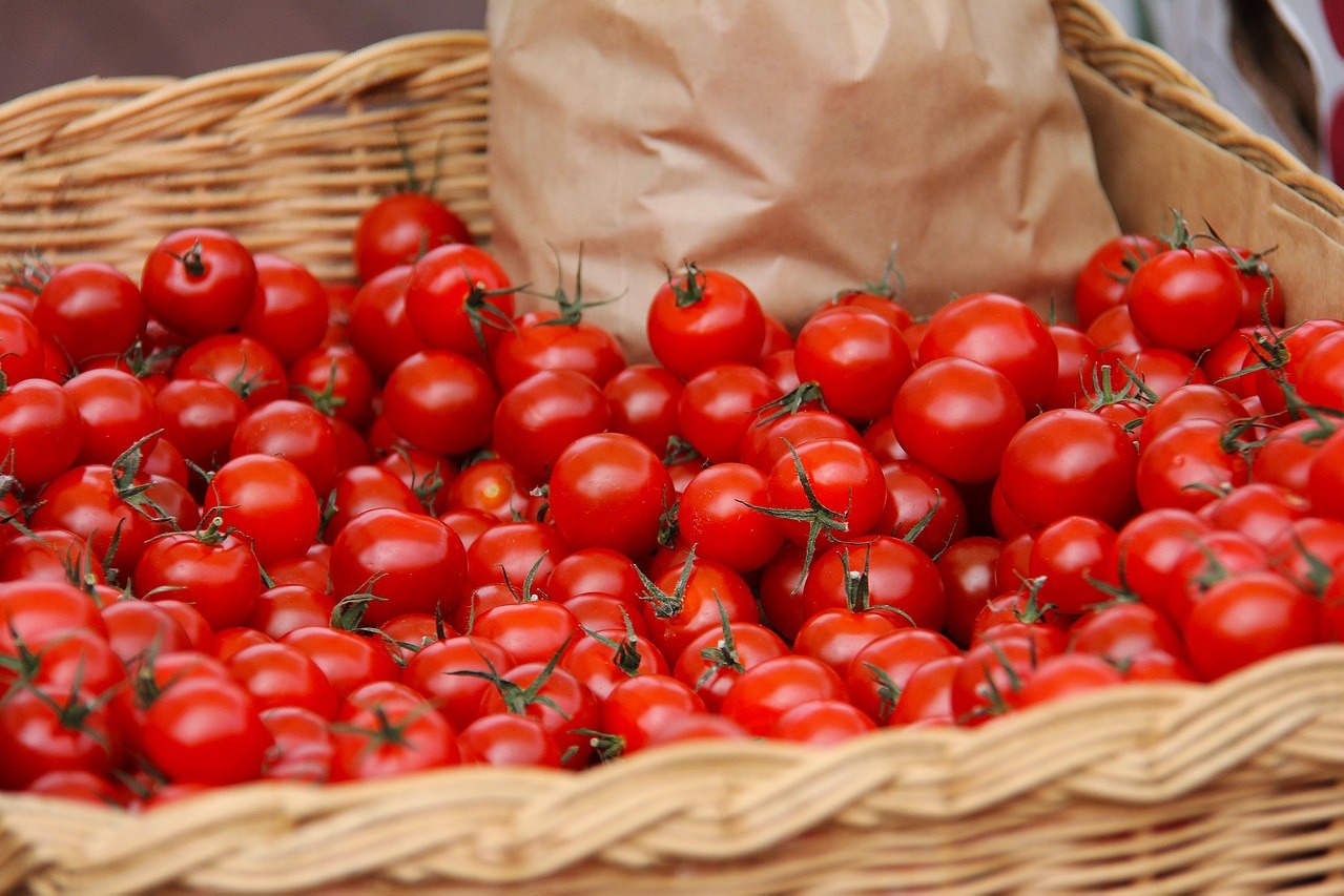 Tomato prices are easing in Andhra Pradesh
