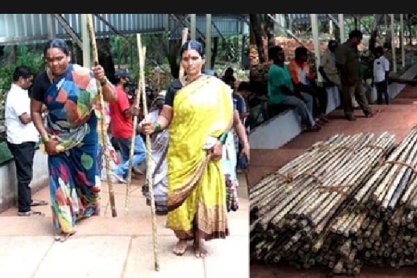 Distribution of sticks begins among Tirumala devotees for self-defence