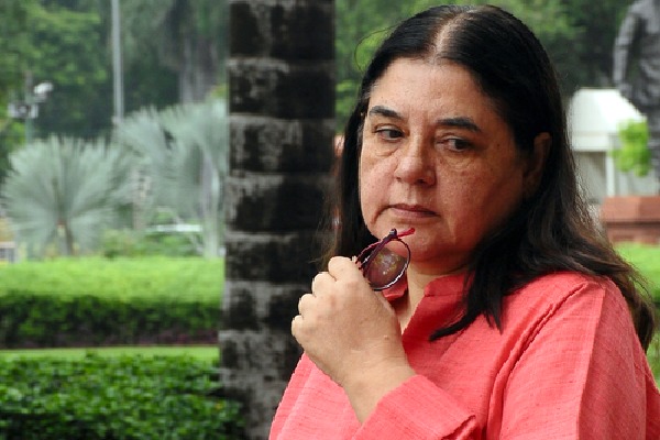 Major row erupts over Maneka Gandhi's ISKCON is the 'biggest cheat' remark, society denies charge