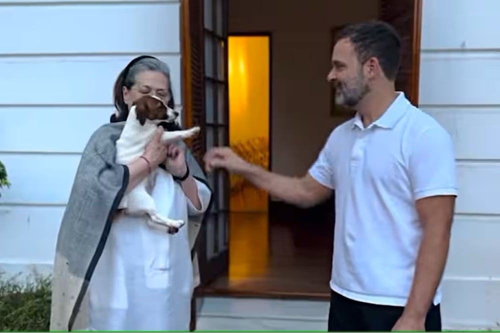 Rahul Gandhi introduces new family member Noorie to world