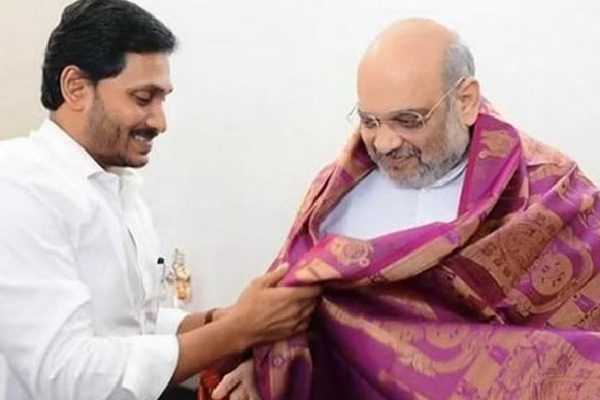 YS Jagan meets union minister amit shah
