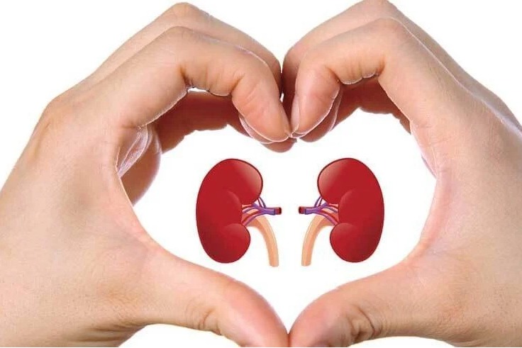 Foods that you should not consume if you have kidney related issues