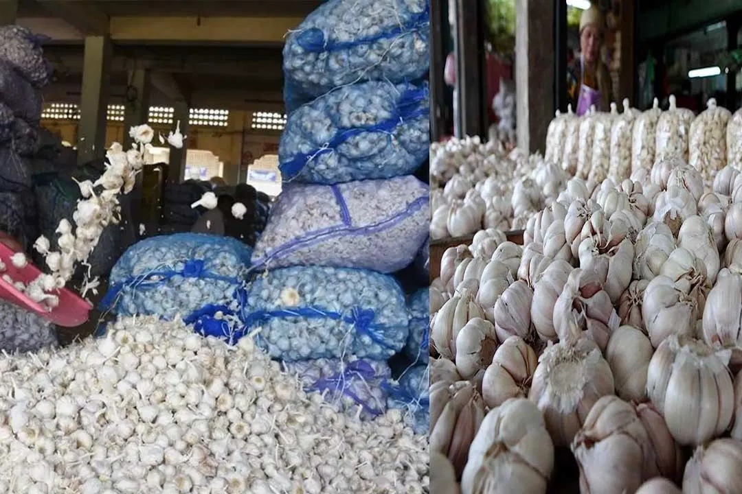 Dip In Supply Pushes Garlic Prices To Rs 280 Per Kg In Retail