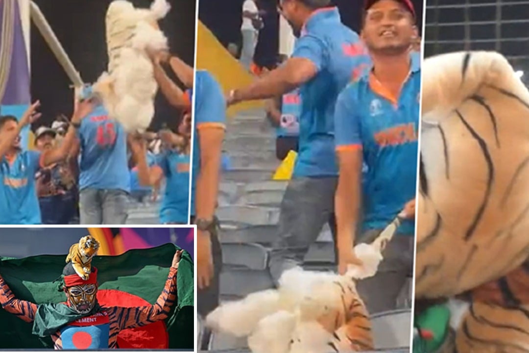Indian Fans apologise Bangladesh superfan Shoaib Ali