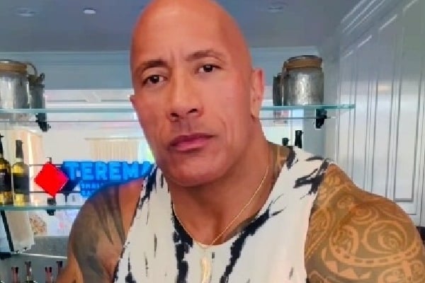 'Honest mistake': French museum darkens skin tone of The Rock's wax figure