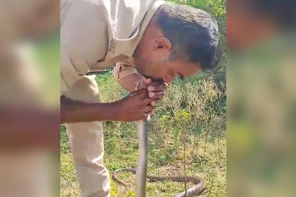 Madhya Pradesh Cop CPR Revive Snake That Drank Pesticide