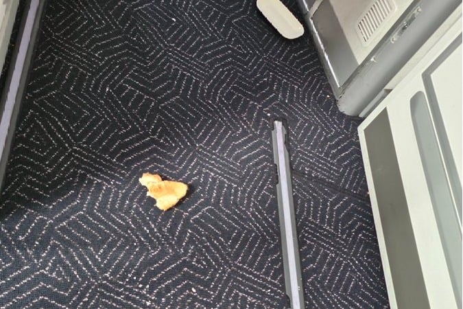 Union Minister shares photo of debris, leftover food on Vistara aircraft's floor