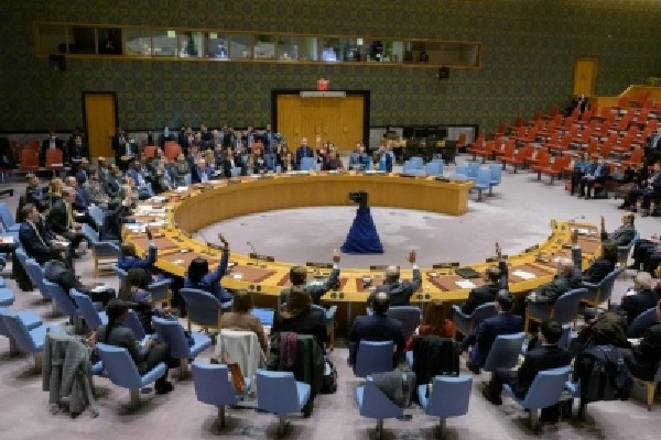 UNSC adopts resolution calling for humanitarian pauses, corridors in Gaza