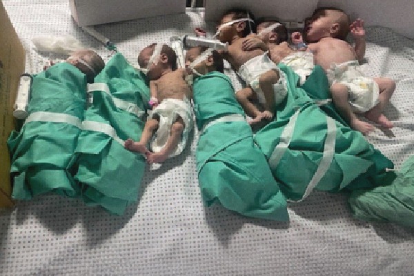Egypt says ready to receive newborns from Gaza's largest hospital
