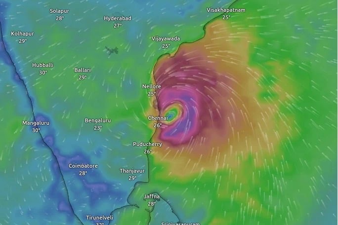 AP Govt appoints special officers for cyclone duties in 8 districts 