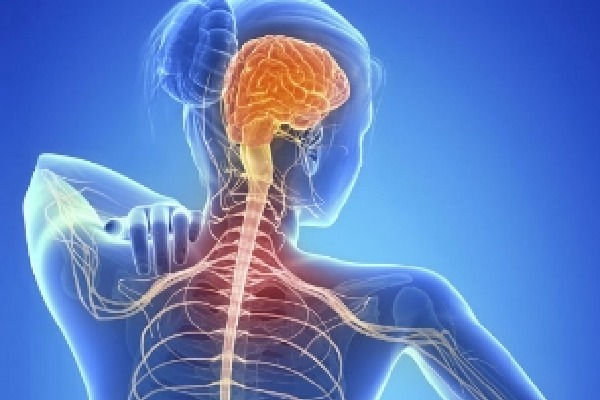 Researchers develop potential new drug treatment for multiple sclerosis