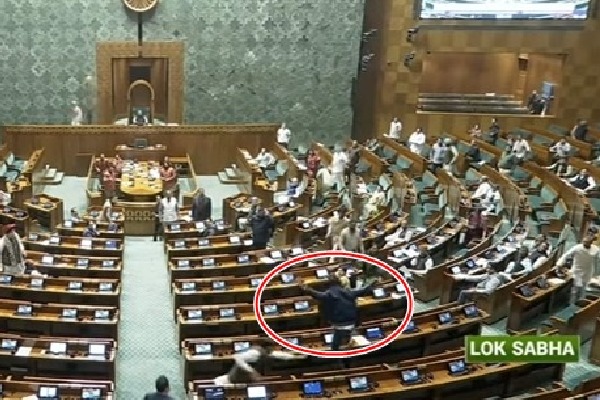 Parliament security breach: Two unidentified men jump from visitor's gallery in LS