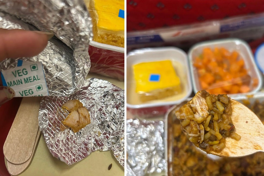 Woman passenger finds chicken pieces in veg meal in Air India flight