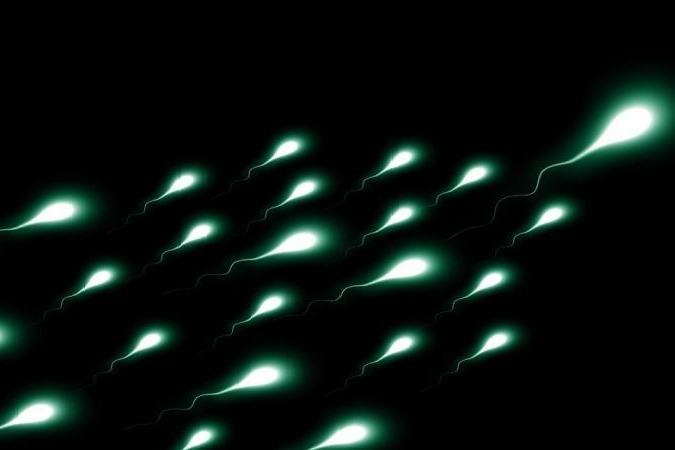 Covid-19 may temporarily affect sperm quality: Study
