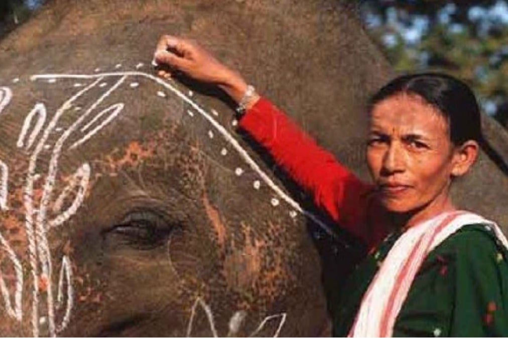 40-yr efforts to reduce human-elephant conflict recognised, Assam’s 'Elephant Girl' gets Padma Shri