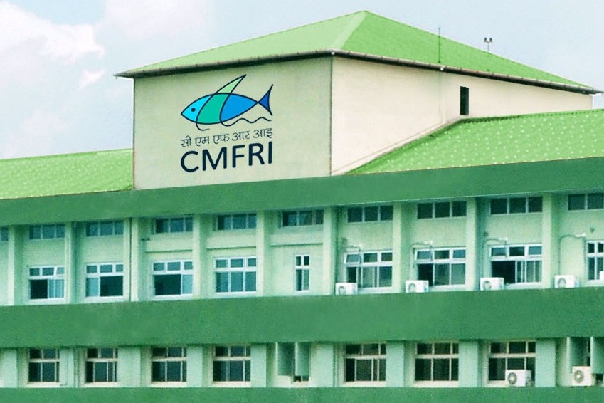 In a first, CMFRI to develop lab-grown fish meat