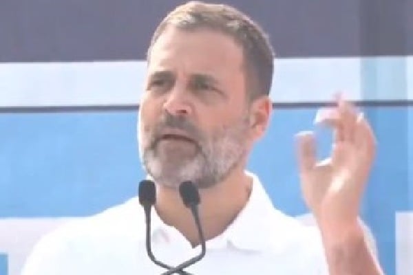 Country cannot develop without social & financial justice: Rahul
