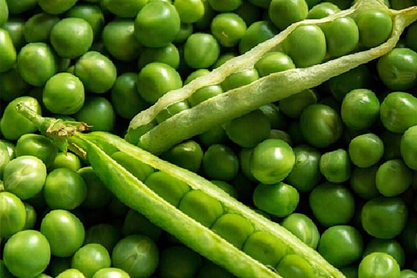 Italian scientists tailor iodine, potassium content of radishes, peas