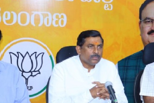 Muralidhar Rao on interim budget
