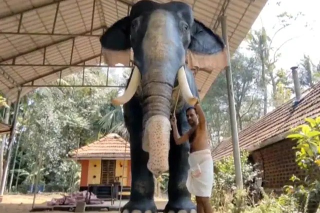 NGO hands over robotic elephant to TN temple