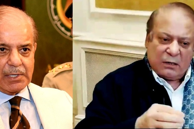 Sharif brothers secure win, PML(N) claims majority in National Assembly
