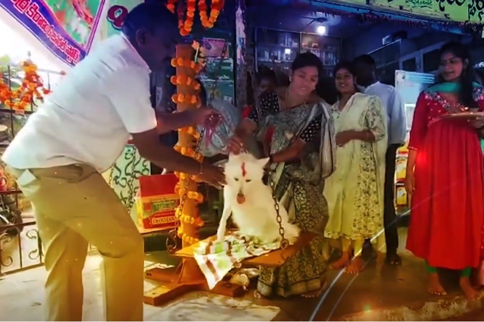 Couple Offers Jaggery Equal To Their Pet Dog Weight For Medaram Jathara