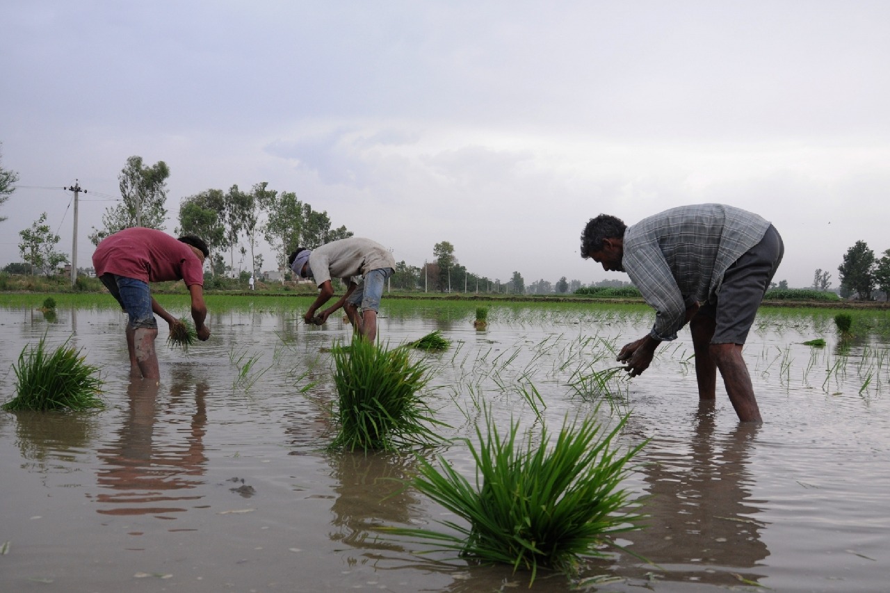 ‘Farmers first’ policy is Modi govt's resolve to boost their income: A look at key initiatives