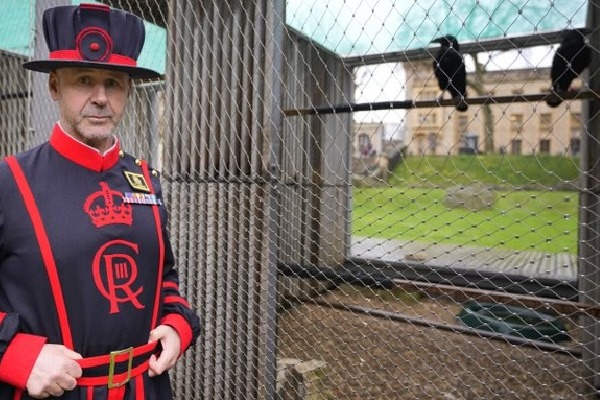 Tower of London appoints new ravenmaster