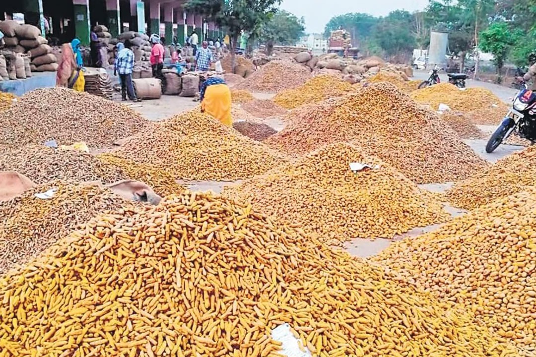 Termeric got highest rate for quinta in Nizamabad market 