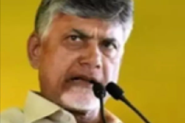 Chandrababu Naidu: Modi's Strength is India's Future, Jagan's Rule a Downfall for the State