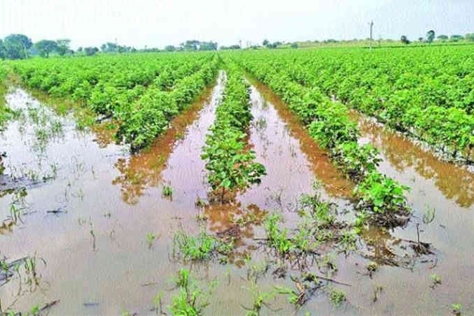 Telangana government to help farmers hit by unseasonal rains