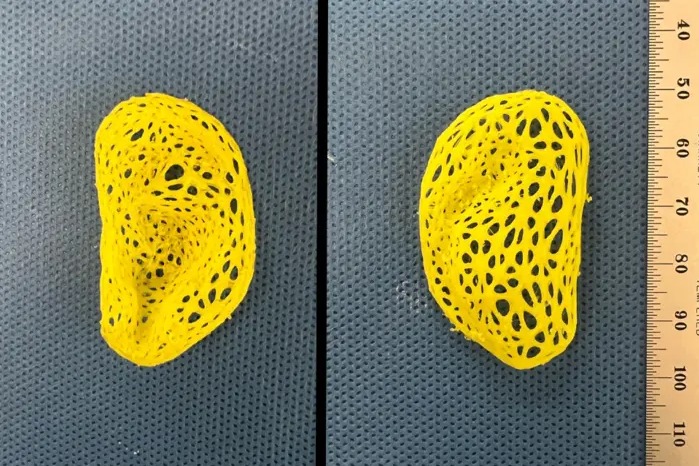 Scientists create replica of an adult human ear that looks & feels natural