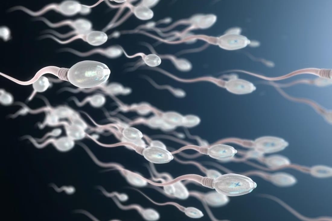Human Sperm Count on Decline Finds Study