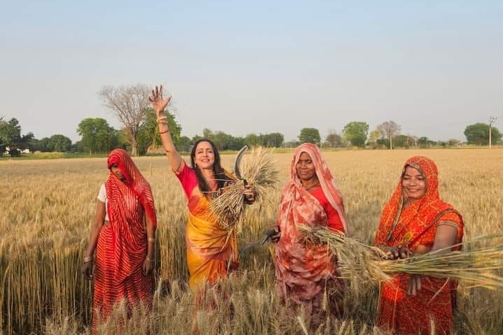 Hema Malini joins women harvesting wheat in Mathura