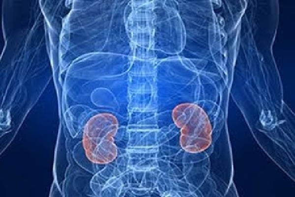 Study shows fairness creams fuelling a surge in kidney problems in India