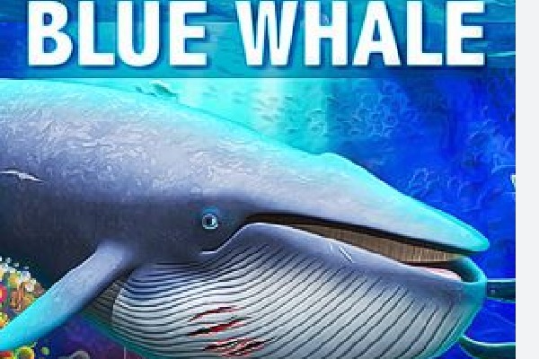 Indian student's death in US possibly linked to Blue Whale suicide game