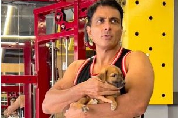 Sonu Sood introduces fans to his pawdorable gym buddy ‘Pyare Mohan’