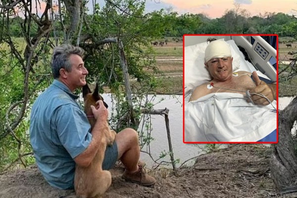 Zimbabwe Former Cricketer Guy Whittall attacked by a leopard 