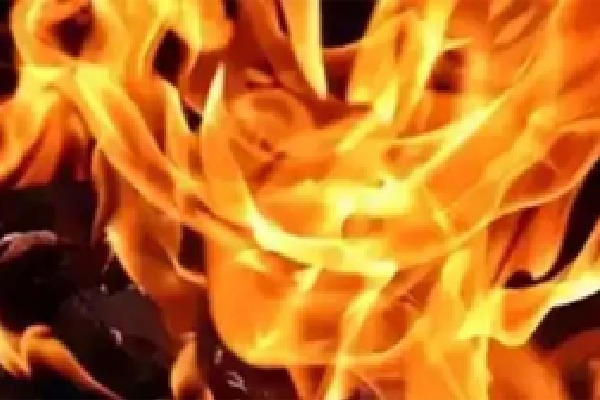 Fire breaks out at leather manufacturing unit in Noida