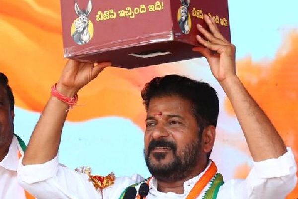 'Donkey's egg': CM Revanth Reddy's jibe on what BJP has 'given' Telangana