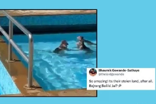 Watch Monkeys take a dip in Mumbai swimming pool amid soaring temperatures the Internet reacts