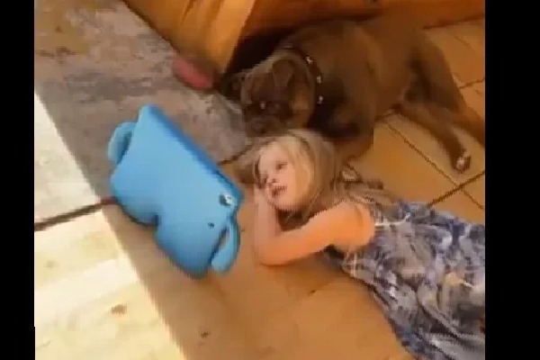 girl and her pet dog glued to screen viral video