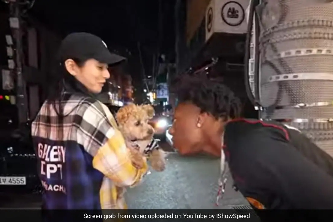 YouTuber IShowSpeed Barks At Dog In South Korea Gets Bitten On The Face
