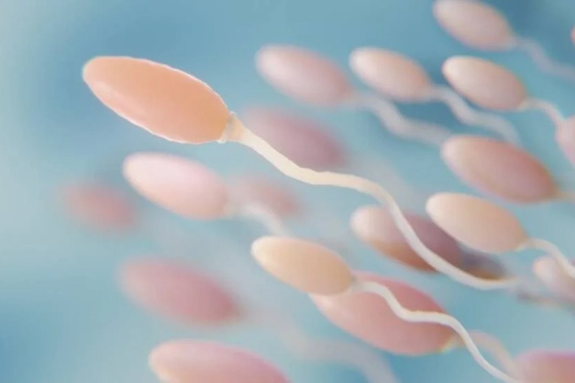 Faulty gene from mother can be behind sons infertility says new study