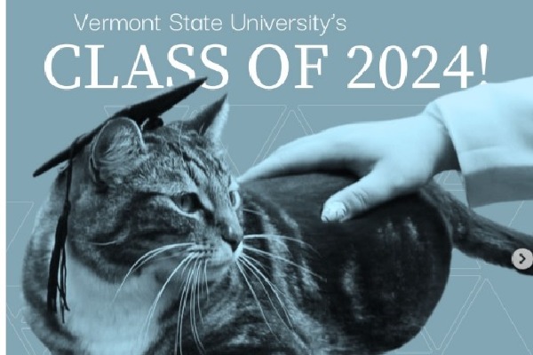Max the campus cat earns doctorate in litterature at Vermont university